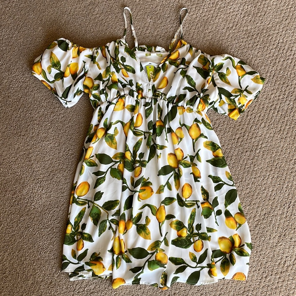 Gianni Bini Molly Dress size XS